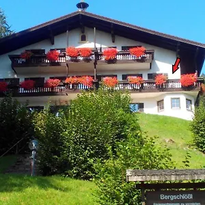 Ferienwohnanlage Bergschlößl Nr18 Apartment
